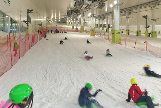 dna-uk-properties-technology-house-milton-keynes-the-area-snozone-snow-slopes